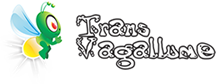 Transvagallume Mudanças